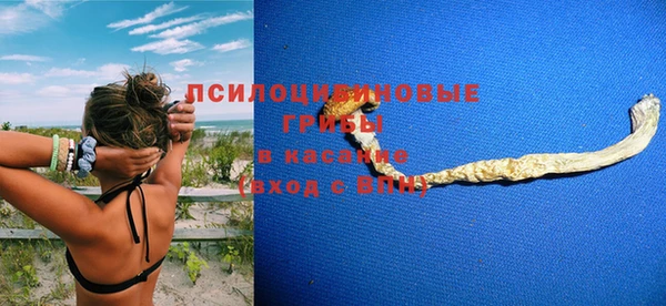 сатива Верхнеуральск