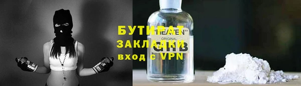 шишки Верхний Тагил