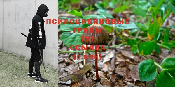 ALPHA PVP Верея