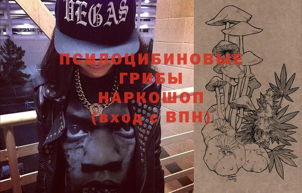 шишки Верхний Тагил