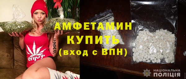 шишки Верхний Тагил