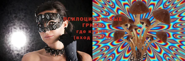 сатива Верхнеуральск