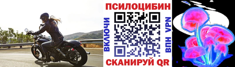 Галлюциногенные грибы мицелий  Купить  Мариинский Посад 